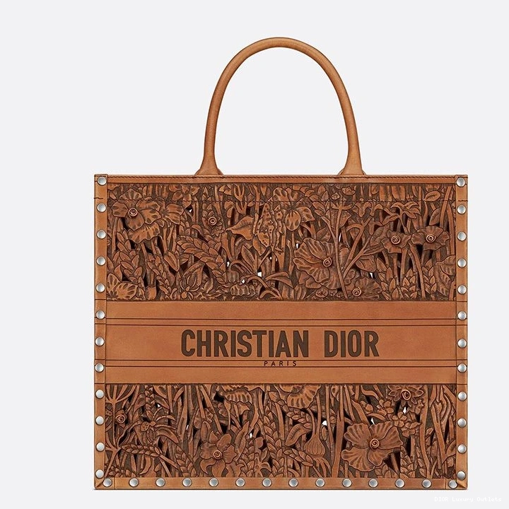 Cheap Dior Book Calfskin Tote Brown Rosette 0809 Luxury